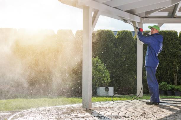 Best Sidewalk and Walkway Cleaning  in Hialeah Gardens, FL