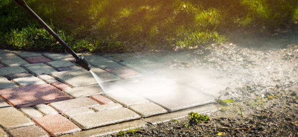 Best Fence Cleaning  in Hialeah Gardens, FL
